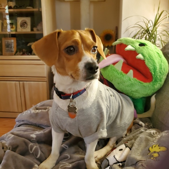 Meet your seller💕 - Picture 9 of 13